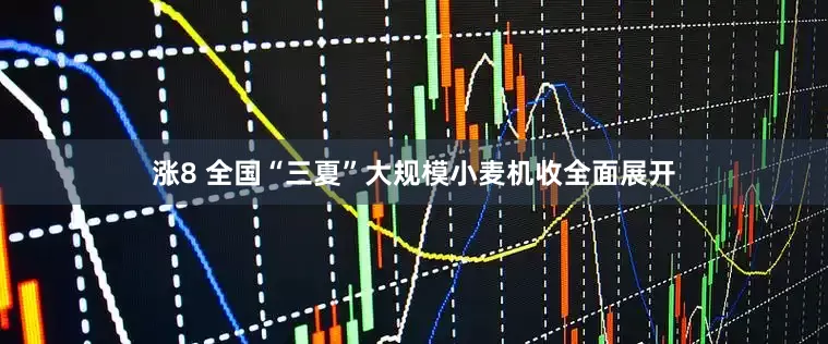 涨8 全国“三夏”大规模小麦机收全面展开