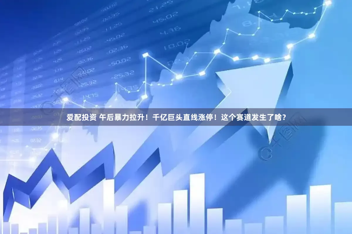 爱配投资 午后暴力拉升！千亿巨头直线涨停！这个赛道发生了啥？